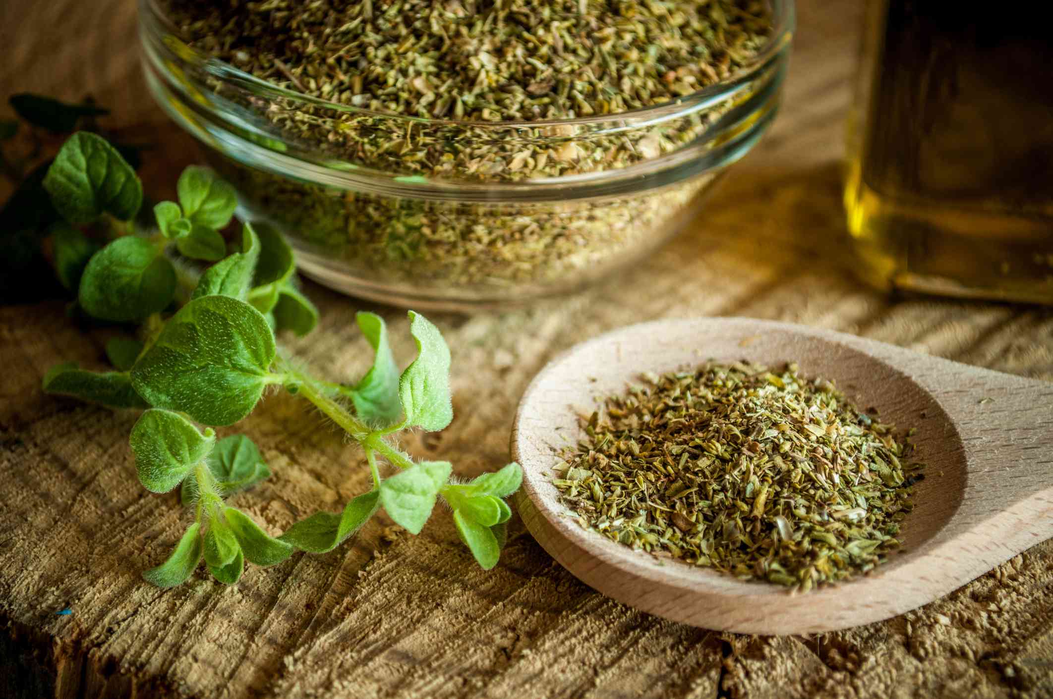 Seasonal Oregano
