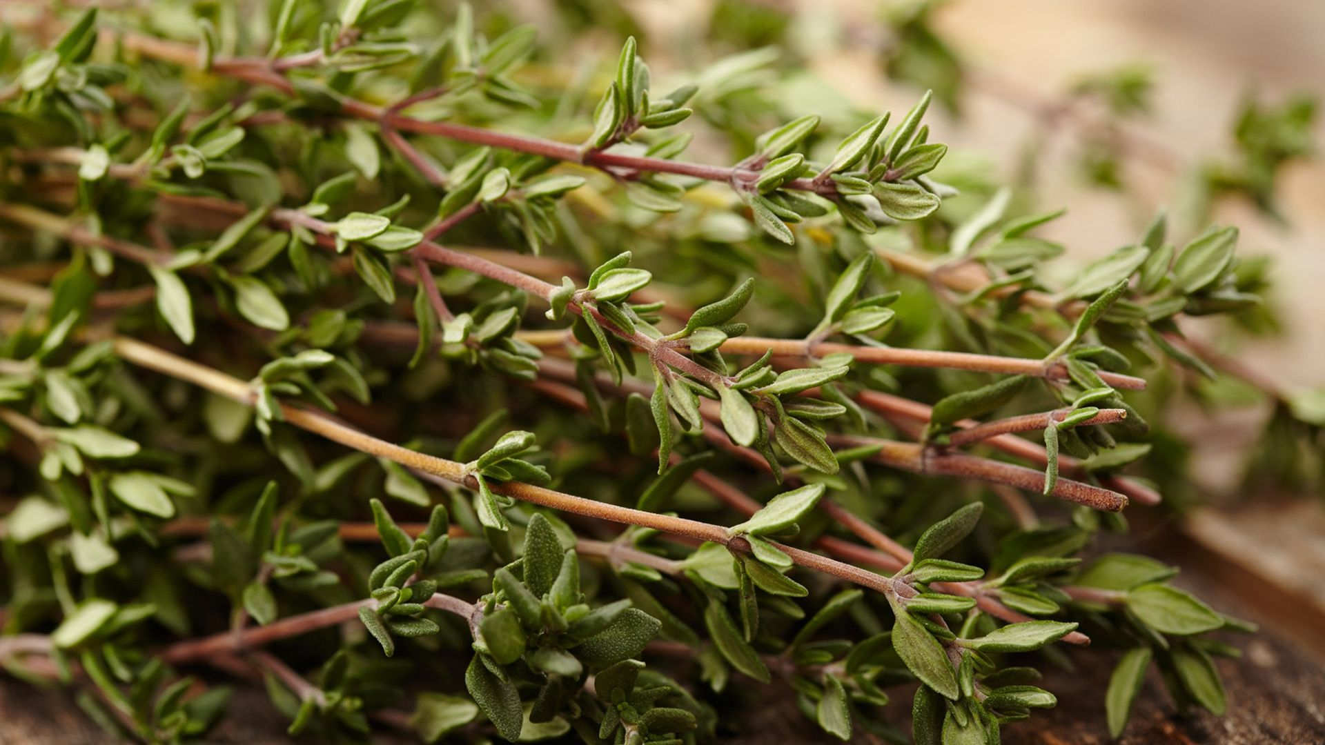 Seasonal Thyme
